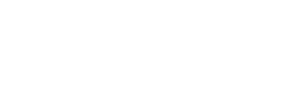 Singer, Weinsten, Wolf & Jonelis LLP